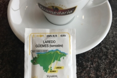 Regnpaus